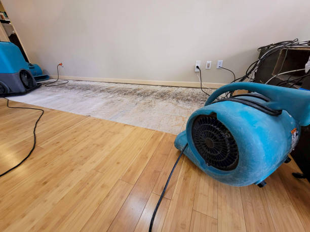 Professional Water Extraction technician working in New Baltimore, NY